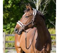 Licol pour cheval Horze Howard Marron Shetland
