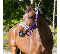 Licol pour cheval Horze Howard Violet Shetland