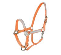 Licol pour cheval Horze Orange Poney