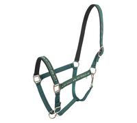 Licol pour cheval HV Polo Nena Vert Shetland
