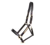 Licol pour cheval Kavalkade Cinta Noir Cob