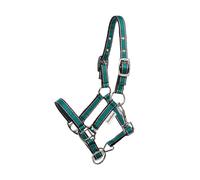 Licol pour cheval Kavalkade Shorty Vert Mini-Shetland