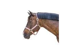Licol Pour Cheval Kentucky Breakaway