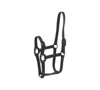 Licol pour cheval Lami-Cell Flexicare Noir Cob