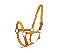 Licol pour cheval Lami-Cell LC Orange Cheval