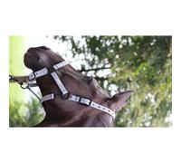 Licol pour cheval Lami-Cell Midnight Gris Pur-sang/Cob