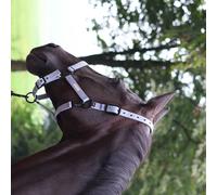 Licol pour cheval Lami-Cell Midnight Violet Full