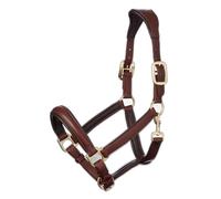 LeMieux Licol en Cuir Anatomique, Mixte, 6199, Marron, Full