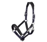 Licol pour cheval LeMieux Capella Bleu Cob