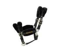 Licol pour cheval mouton Kentucky Noir Cob