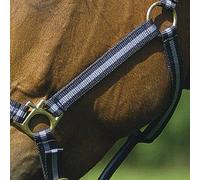 Licol Pour Cheval Norton Doublé Cuir