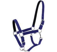 Licol pour cheval Norton Dream Bleu Full