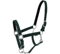 Licol pour cheval Norton Dream Vert Full