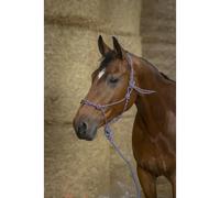 Licol pour cheval Norton Eco Gris Cheval