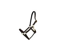 Licol pour cheval nylon Kentucky Noir Full