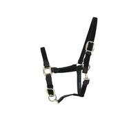 Licol Pour Cheval Nylon Tressé Kentucky