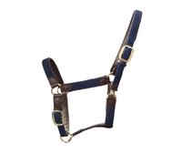 Licol pour cheval nylon tressé Kentucky Bleu Full