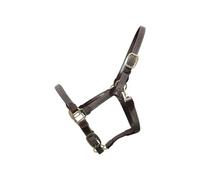 Licol pour cheval nylon tressé Kentucky Gris Full