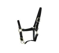 Licol pour cheval nylon tressé Kentucky Noir Cob