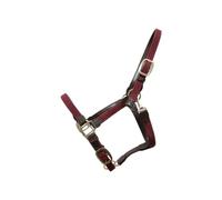 Licol pour cheval nylon tressé Kentucky Rouge Cob