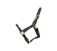 Licol pour cheval nylon tressé Kentucky Vert Cob
