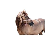 Licol pour cheval polaire Kentucky Teddy Rose Poney