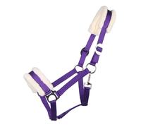 Licol pour cheval Q-essentials Cali Violet Cob