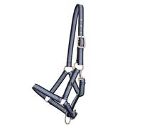 Licol pour cheval QHP Bleu Full