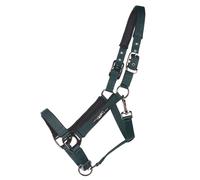 Licol pour cheval QHP Deluxe Vert Cob