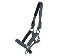 Licol pour cheval QHP Deluxe Vert Full