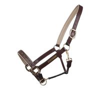 Licol pour cheval QHP Lupine Marron Full