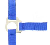 Licol pour cheval Riding World Club Bleu Cheval