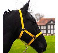 Licol pour cheval sang chaud, pur-sang, sang froid - Licol d'écurie, licol de pâturage, réglable en 2 positions au niveau de la mentonnière et de la têtière, sûr et résistant à la déchirure (jaune