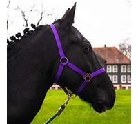 Licol pour cheval sang chaud, pur-sang, sang froid - licol d'écurie, licol de pâturage, réglable en 2 positions au niveau de la mentonnière et de la nuquière, sûr et résistant à la déchirure (violet