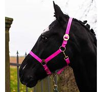 Licol pour cheval sang chaud, pur-sang, sang froid - licol d'écurie, licol de pâturage, réglable en 2 positions sur la mentonnière et la têtière, sûr et résistant à la déchirure (Rose, Mini Shetty)