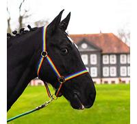 Licol pour cheval sang chaud, pur-sang, sang froid - Licol d'écurie, licol de pâturage, réglable en 2 positions au niveau de la mentonnière et de la têtière, sûr et indéchirable (multicolore, poney)
