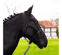 Licol pour cheval sang chaud, pur-sang, sang froid - licol d'écurie, licol de pâturage, réglable en 2 positions au niveau de la mentonnière et de la nuquière, sûr et résistant à la déchirure (noir