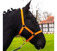 Licol pour cheval sang chaud, sang froid, sang froid, licol d'écurie, licol de pâturage, 2 positions réglables au niveau de la mentonnière et de la têtière, sûr et indéchirable (orange, poney)