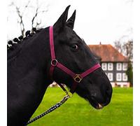 Licol pour cheval, sang chaud, sang froid, sang froid, licol d'écurie, licol de pâturage, 2 positions réglables au niveau de la mentonnière et de la têtière, sûr et indéchirable (bordeaux, poney)