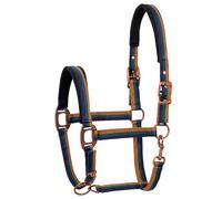 Licol pour cheval START Rustique (Marine/Vert/Marron, Pony)