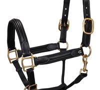 Licol pour cheval supérieur en cuir Equestro Noir Cob