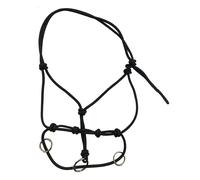 Licol pour cheval Tattini Noir TU