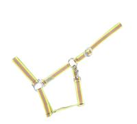 Licol pour cheval USG Basic Marron Poney