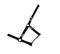 Licol pour cheval USG Basic Noir Poney