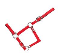 Licol pour cheval USG Everyday Rouge Poney