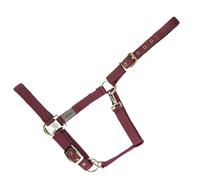 Licol pour cheval USG Everyday Rouge Poney