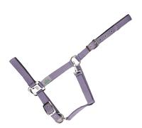 Licol pour cheval USG Everyday Violet Full