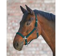 Licol pour cob Waldhausen Gloomy Vert Cob