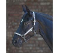 Licol pour cheval Waldhausen Reflex Stripe Gris Cob