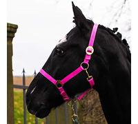 Licol pour cheval Warmblut, Vollblut, Kaltblut - Licol d’écurie, licol de pâturage, réglable en 2 positions sur les sangles de menton et de cou, sûr et résistant (Rose, Kaltblut)